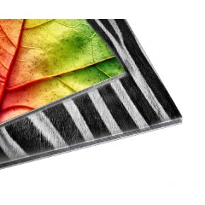 AlumBoard Dibond