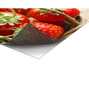 Perforated Vinyl