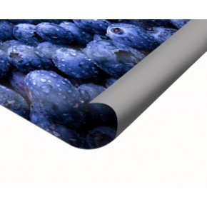 Propylene Pop Up
