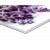 PVC (Palight Brand)